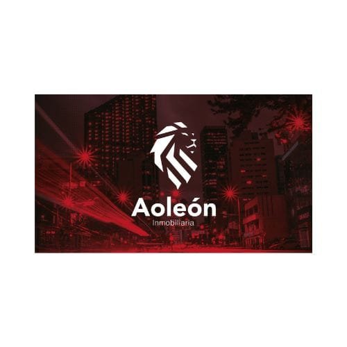 Aoleón Inmobiliaria logo